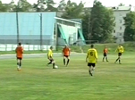Кубок Ромашки
