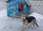 На защиту беззащитных