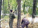 Прогнили до трухи