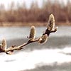 Сегодня нужно обходить кругами колодцы