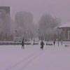 Снежная стихия обрушилась на Владимирскую область