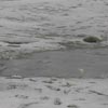В Оке обнаружено тело мужчины