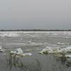 Лед тронулся!