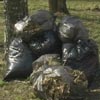 Более 5 тысяч мешков мусора менее чем за 2 недели