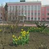 Первые весенние цветы украсили площадь 1100-летия