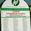 Подарок всей деревне