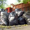 В акции приняли участие около тысячи муромлян