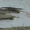 В реках начала подниматься вода
