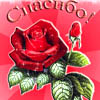 Всемирный день «спасибо»