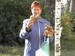 Необычные овощи