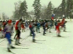 Стань участником спортивного зрелища!