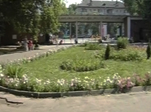 В Муроме создано «Парковое хозяйство»