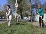 Город вместе уберем
