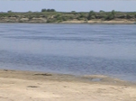 Пьяный в воде