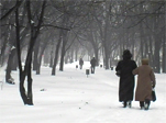 Сильные морозы – большие трудности