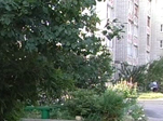Спортивная хроника