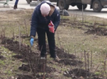 Розовый цветник в черте города