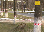 Ещё 6 заболевших коронавирусом в Муроме за сутки