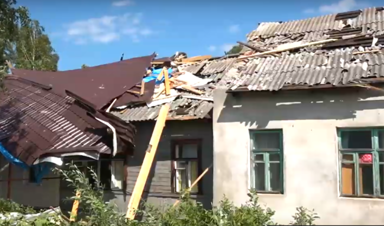 Принесённая ветром