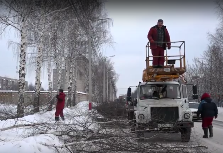 В городе продолжаются работы по массовой подрезке деревьев