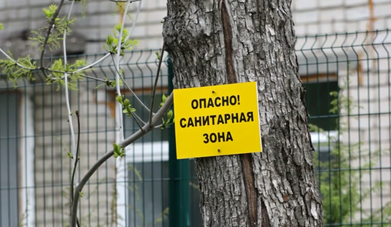 Статистика по заболеванию COVID-19 за 12 мая