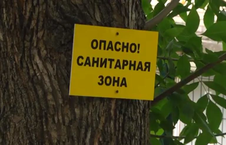 Статистика по заболеванию COVID-19 за 6 мая