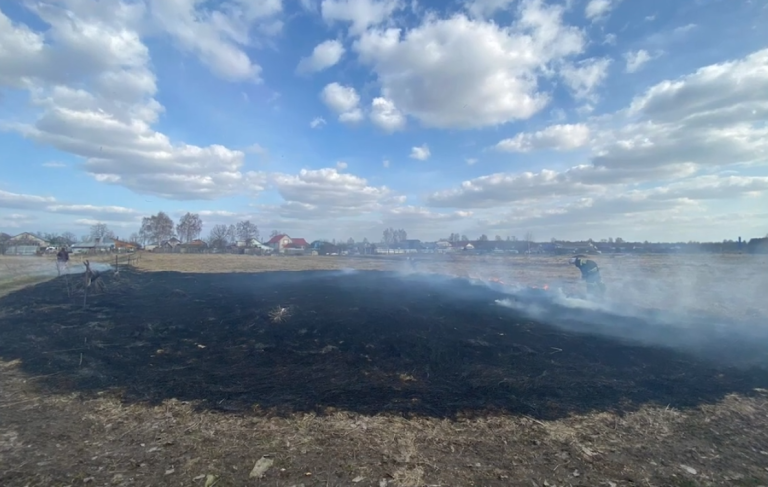 С 18 апреля по 18 октября во Владимирской области устанавливается пожароопасный сезон
