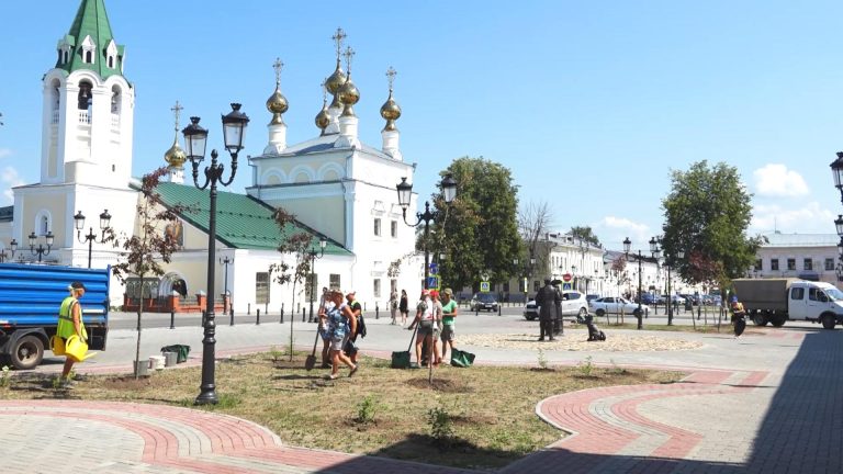 На Вознесенской площади высаживают молодые яблони, в сквере Белякова — розы